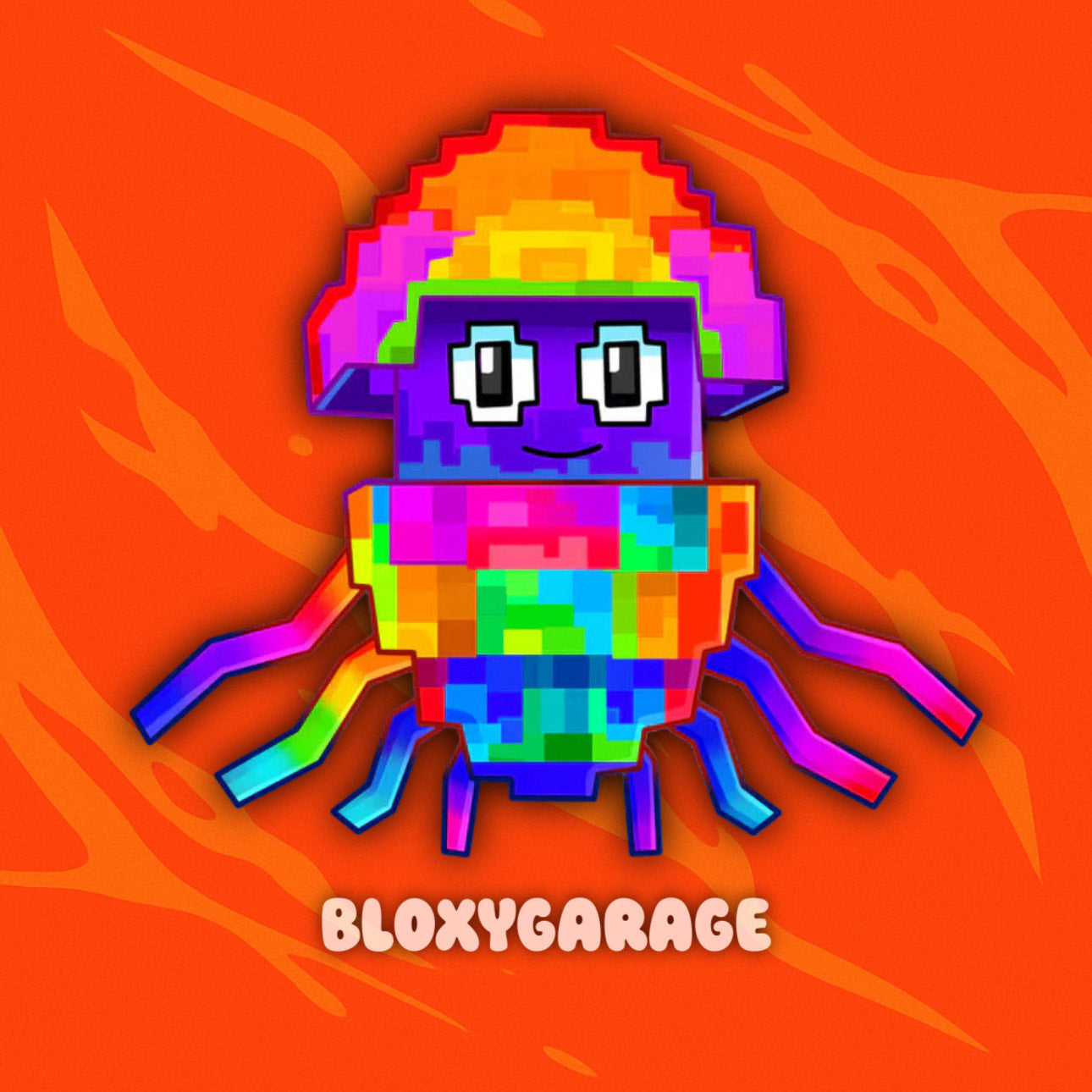 Rainbow Graipuss Medussi